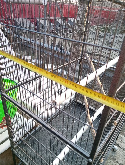 Colivie voliera cușcă papagali