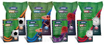 Семена газон, Газон уруғи.