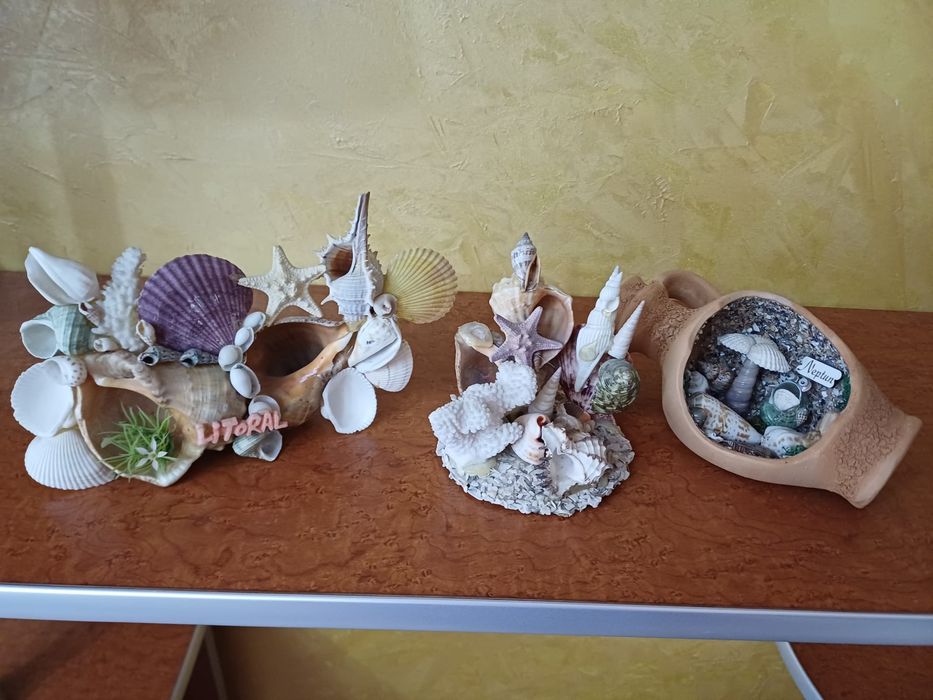4 decoratiuni scoici