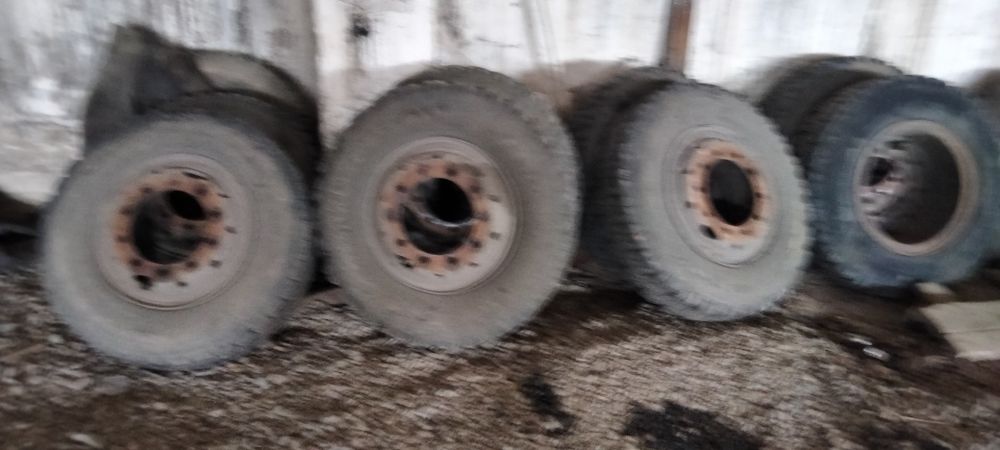 Диски евро казаз и колеса черепашки