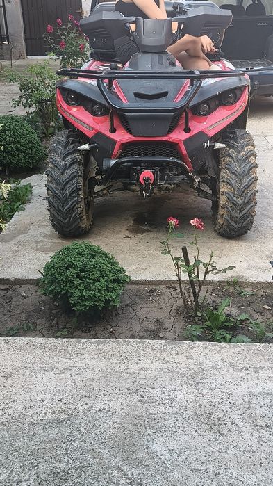 Linhai dragonfly 300