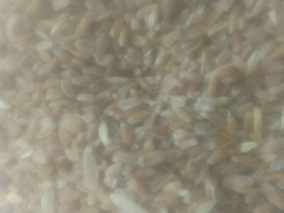 ОТХОДЫ Полова Отруби Овёс