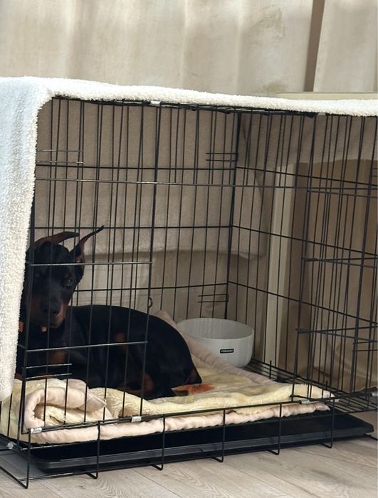 Продам клетку для собаки/кошки