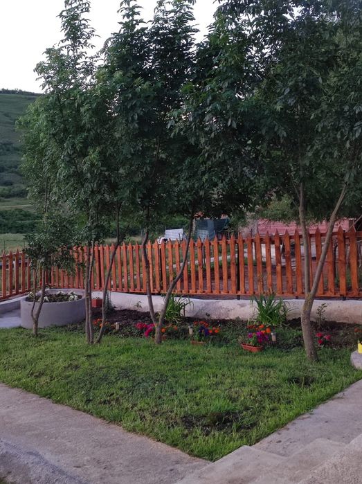Vând fermă cu un lot de măgărițe.