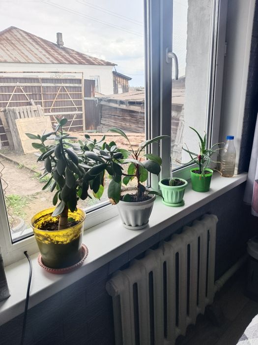 Продам дом со свежим ремонтом