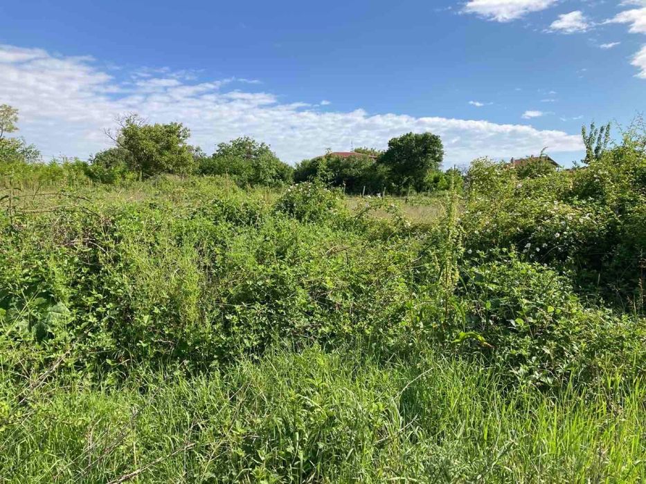 Поземлен имот в регулация