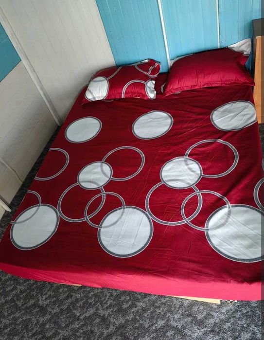 6 casute de inchiriat langa ALEXANDRIA