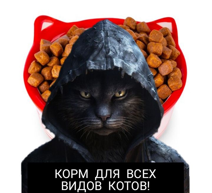 ЗООМАГАЗИН корм для Животных