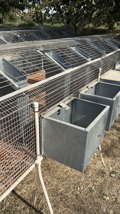 Продаются клетки