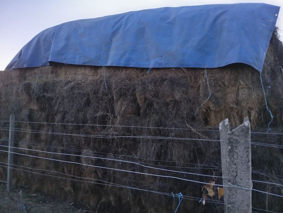 De vânzare, baloți de fân și un stog de lucernă.
