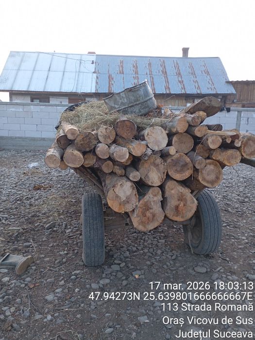 Vând fag uscat 320 lei metru ster