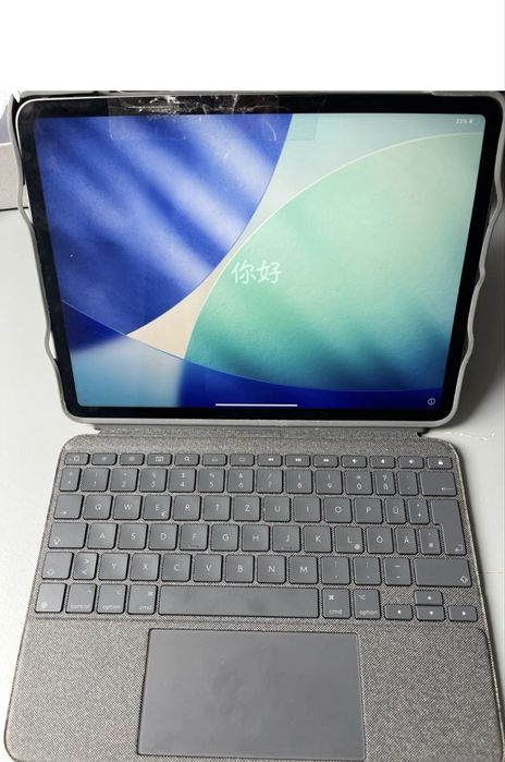 Ipad Pro 3 11inch M1 256 GB