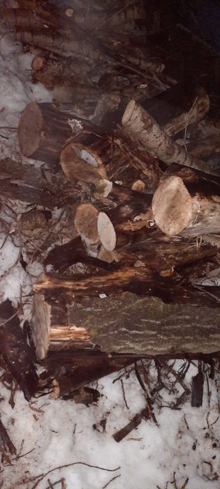 Дрова бесплатно самовывоз