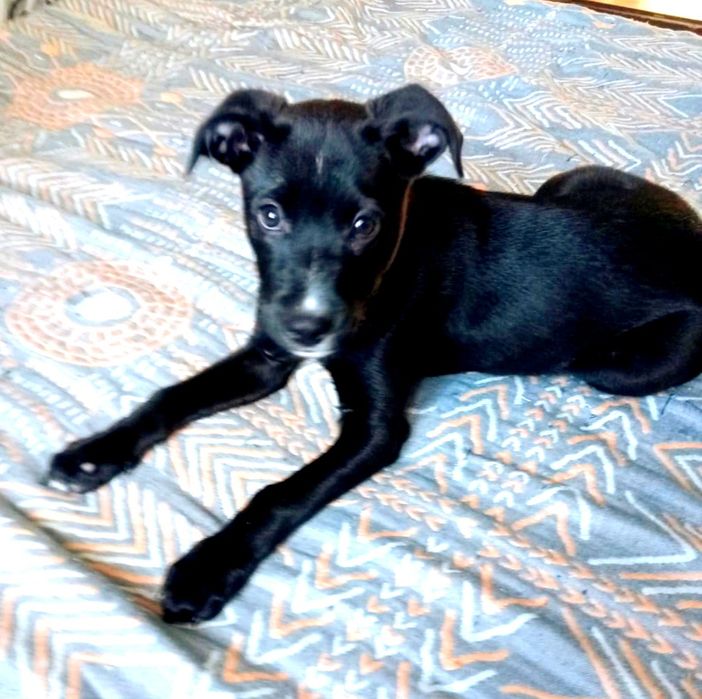 Маленькая сладость