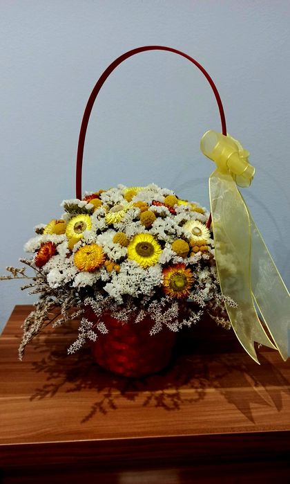 Florin statice en-gros