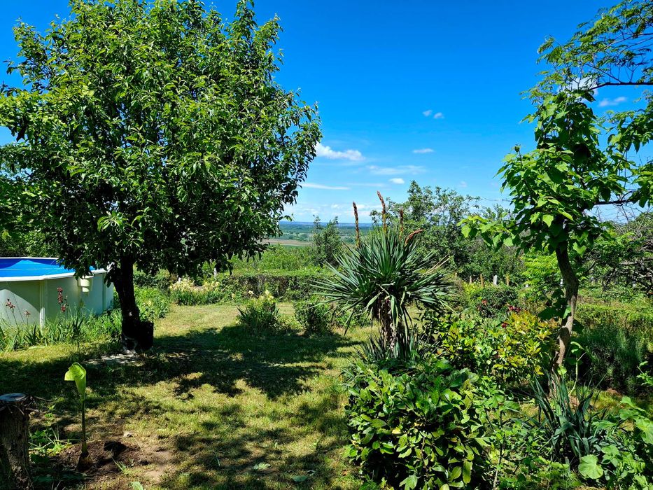 Продава се Къща в с. Остров, Област Враца - 120 кв.м за 309 €/кв.м - Снимка #5