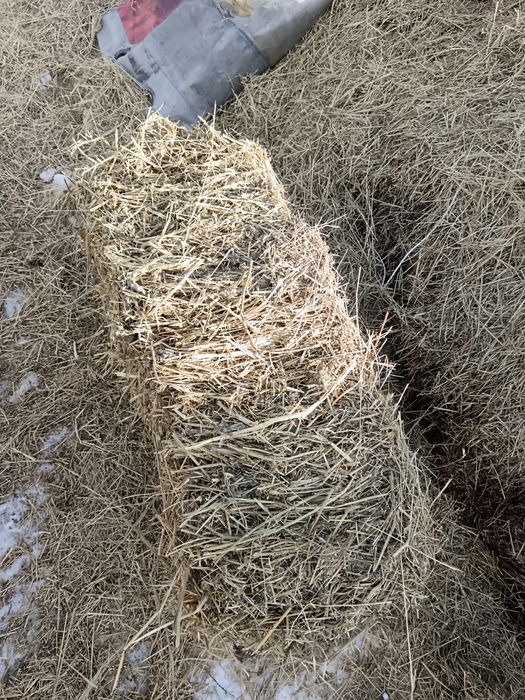 Жонышқа сатылады 1600 тенге