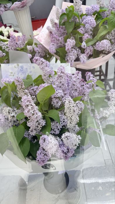 Цветы Актау сирень