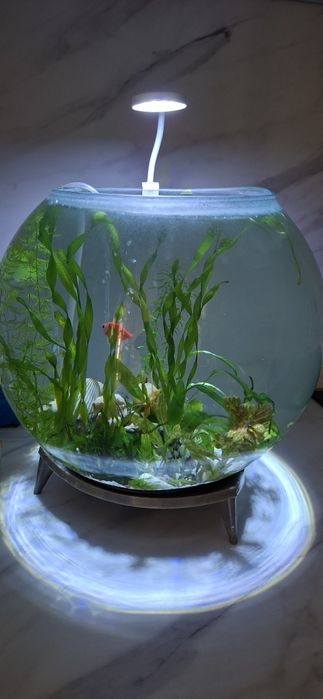 Аквариум цельный