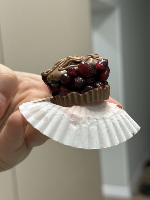 Гранат в шоколаде с бельгиском