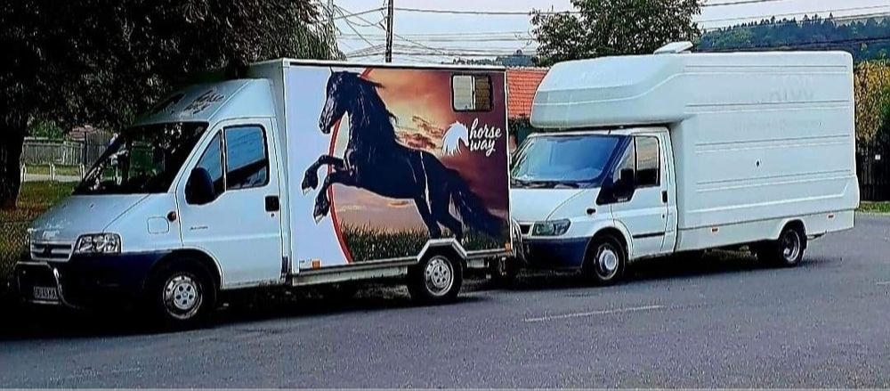 Transport animale vii