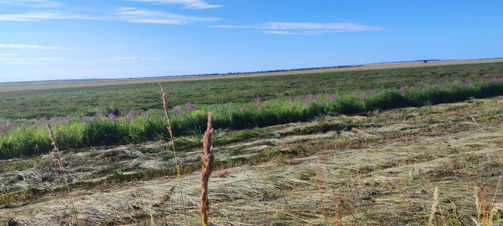 Продам землю 450 гектар