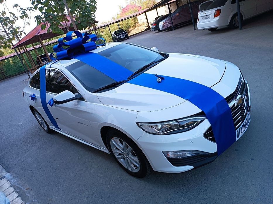 Bantik sovga uchun bant lenta avtobantik МЕД ГОРОДОК