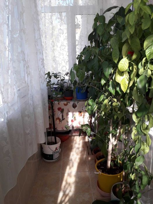 Vand apartament decomadat cu 3 camere