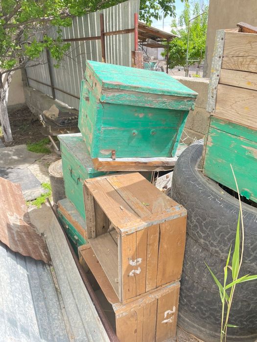 Улей, гнездо пчел