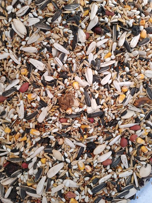 Корма для всех видов крупных попугаев