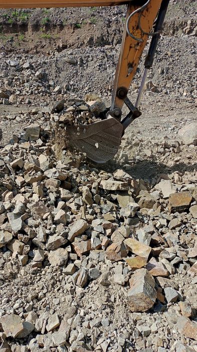 Скальник мелкий и крупный