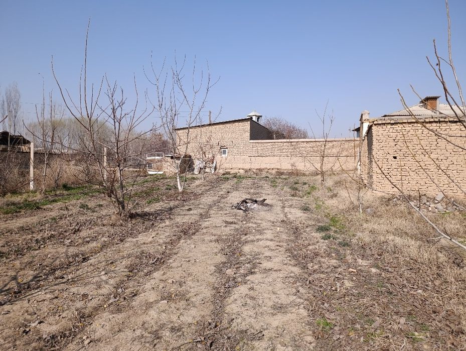 17 sotikli noturar maydon