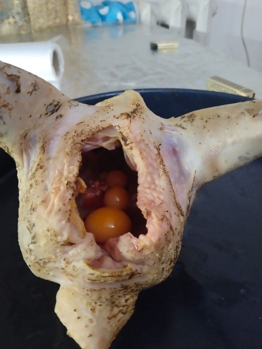 Куры, утки, гуси