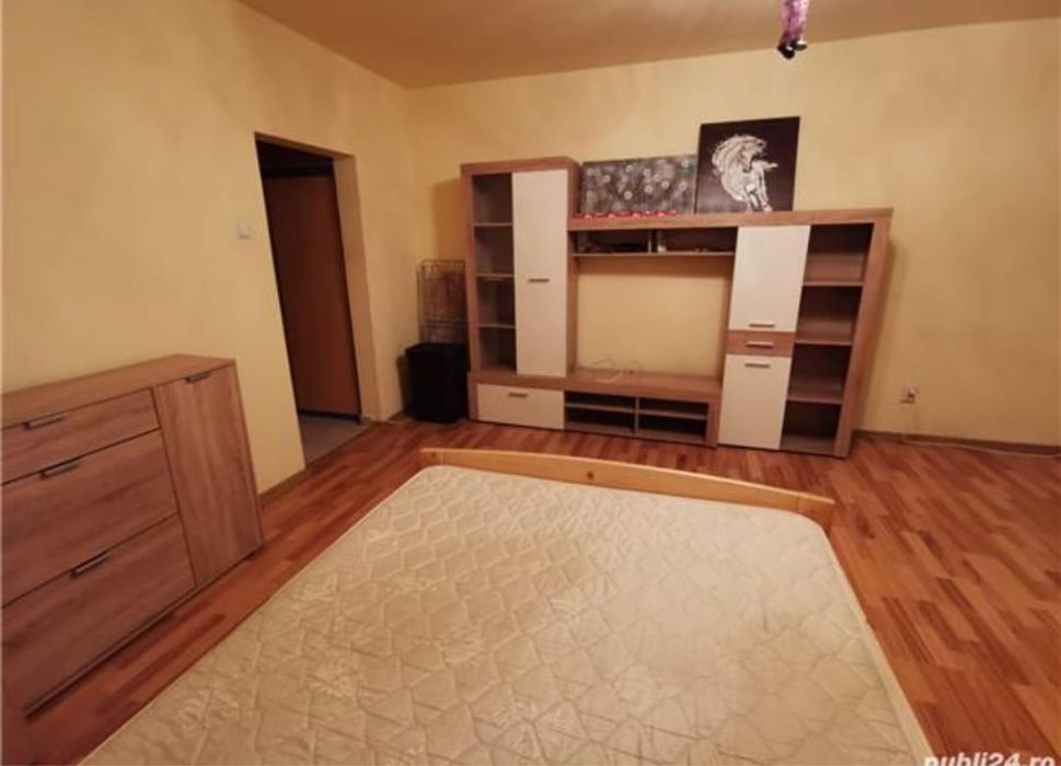 Inchiriez apartament cu o camera
