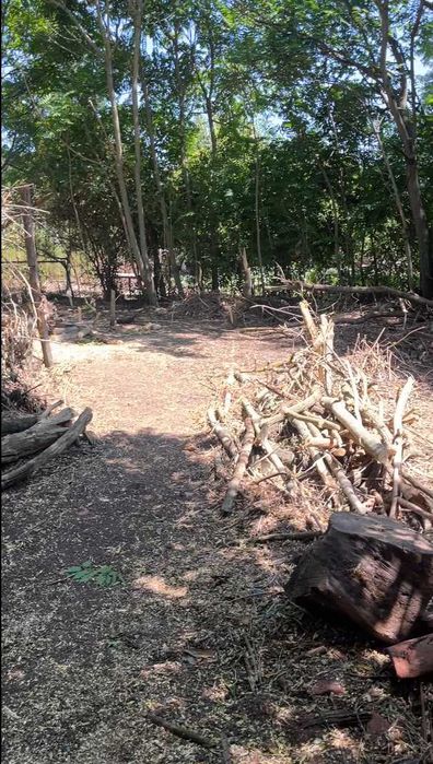 Предлагам помощ с непосилни задачи в двора, лозето или градината в област Плевен