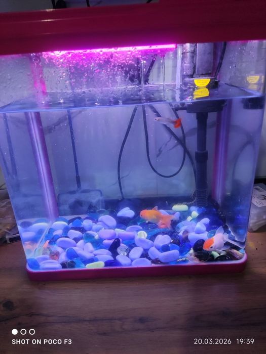 Аквариум 18-литр олинганига 1-ойхам болмади