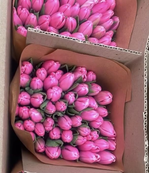 Тюльпаны Павлодар к 8 марта