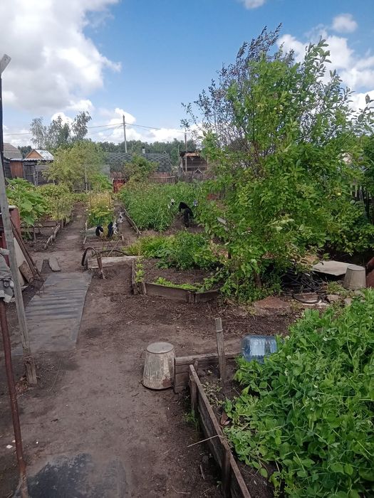 Продам дачу район Новопавловки