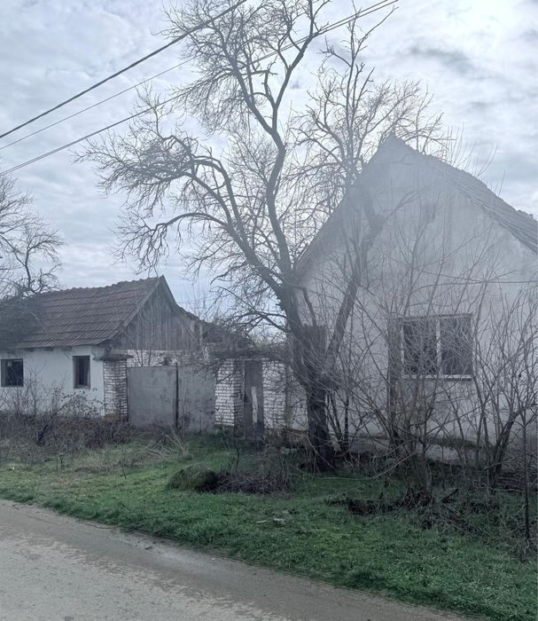 Casa de vanzare in sat Rapsig jud Arad cu 1400 m2 pamant