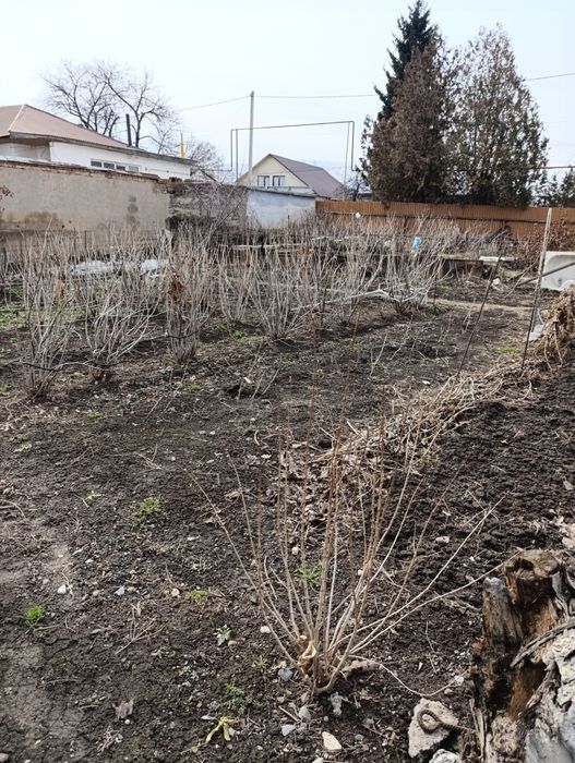 Продам большой дом Шалкар