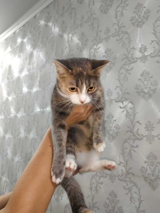 Анфиса ищет любящую семью!