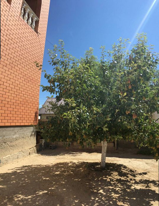 Продается дом...г.Кульсары