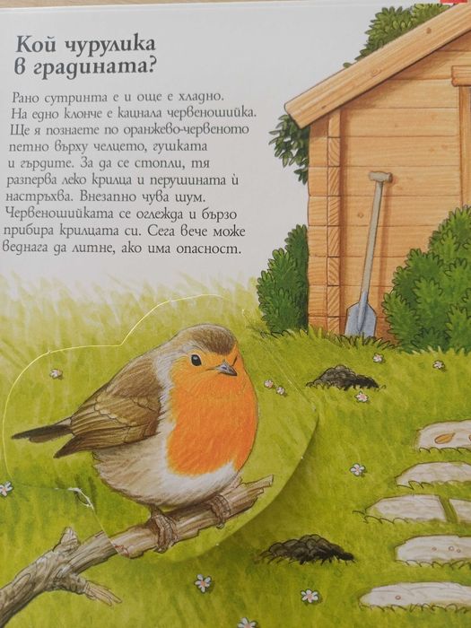 Детска енциклопедия