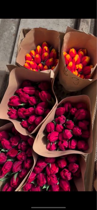 Тюльпаны премиум класса