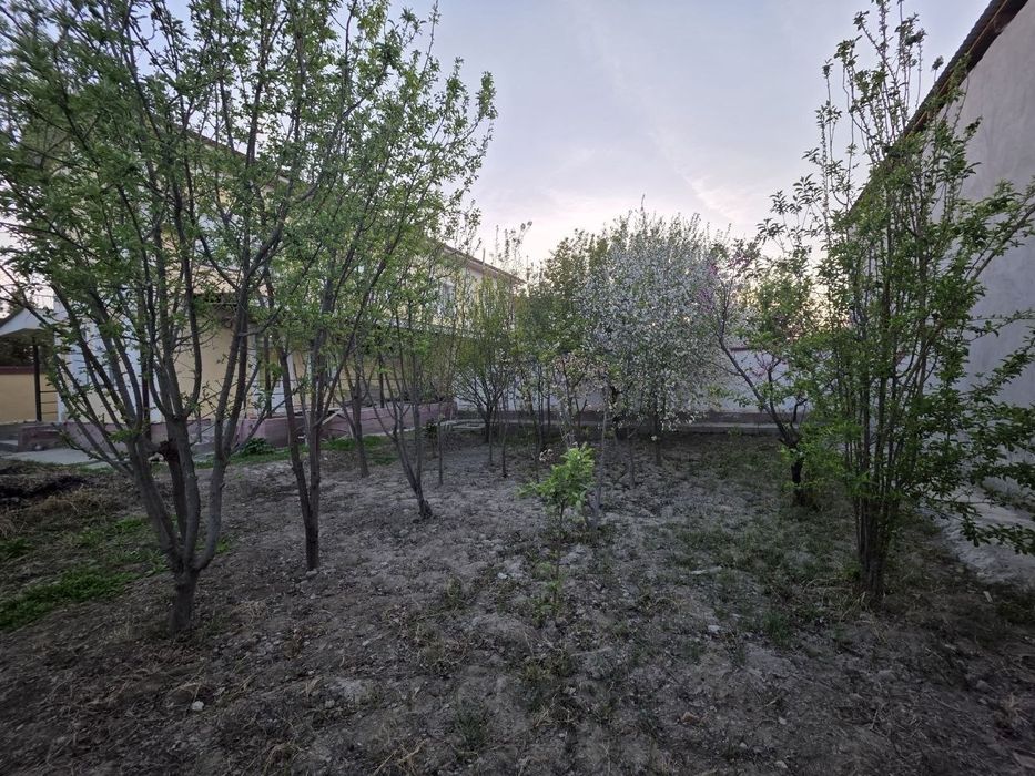 Srochniy Katej Sotiladi