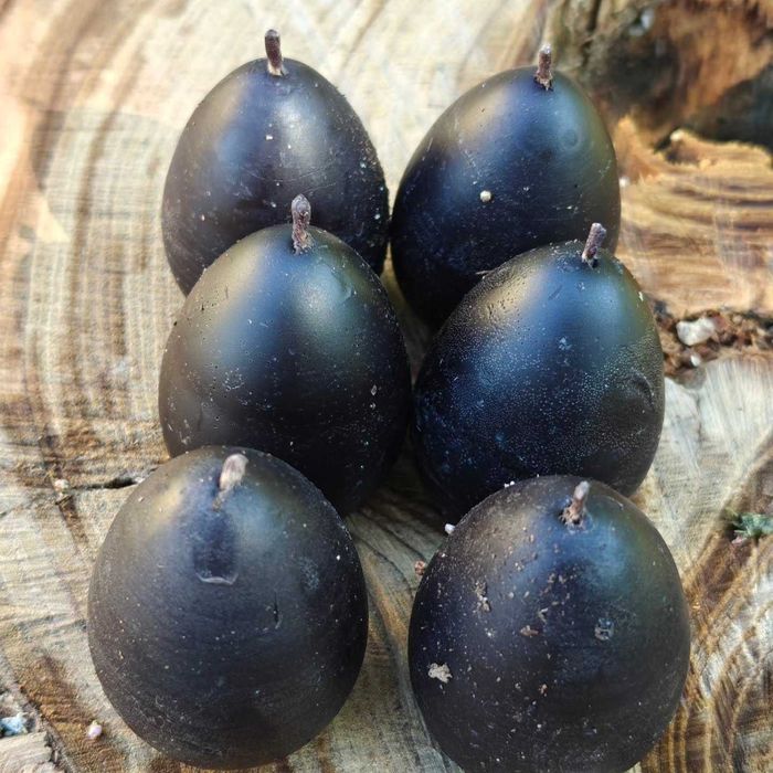 Черные свечи на очищение от негативных программ