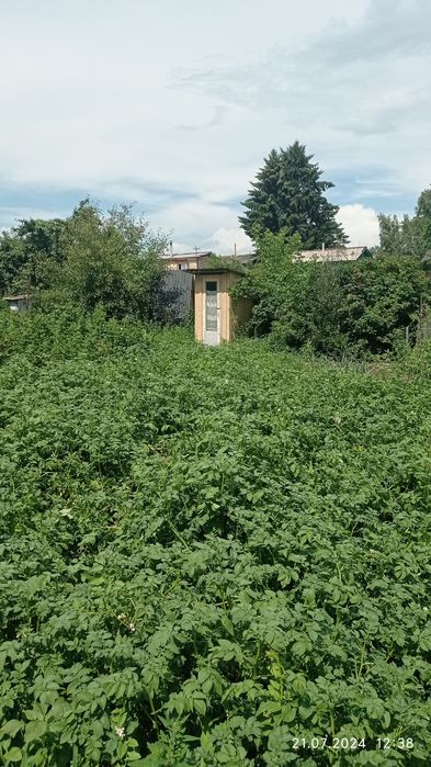 Продам дачу с/о Мичуринец