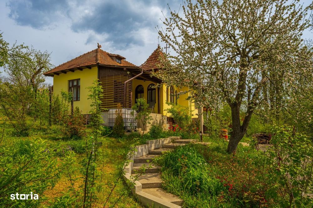 Provita de Sus, Prahova, Casa renovata, Comision 0 %