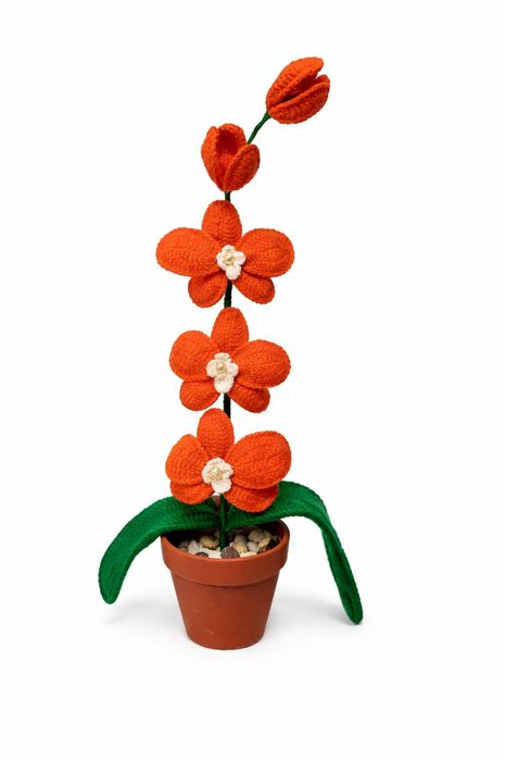 Orhidee crosetata manual