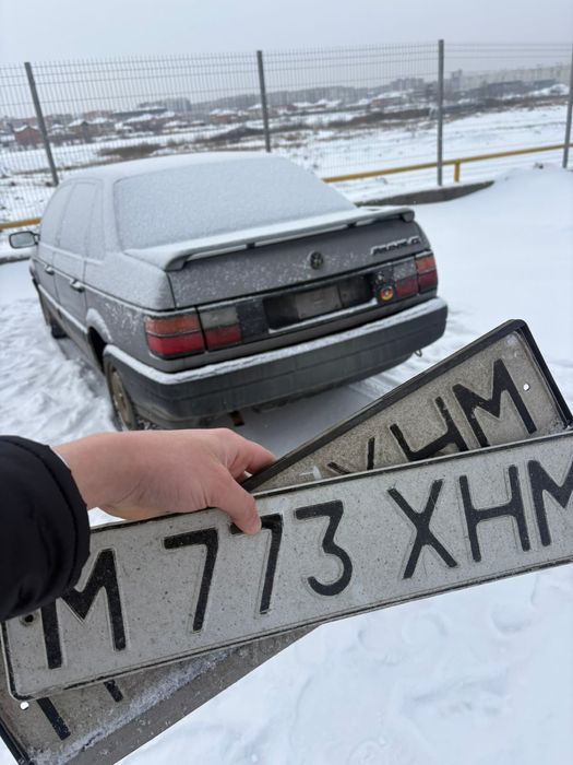 Живой Volksvagen Passat
